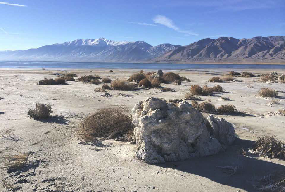 Model assesses effects on Walker restoration