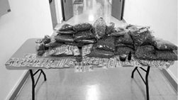 Courtesy photo A large amount of marijuana and cash was seized by Walker River Tribal Police Aug. 18.